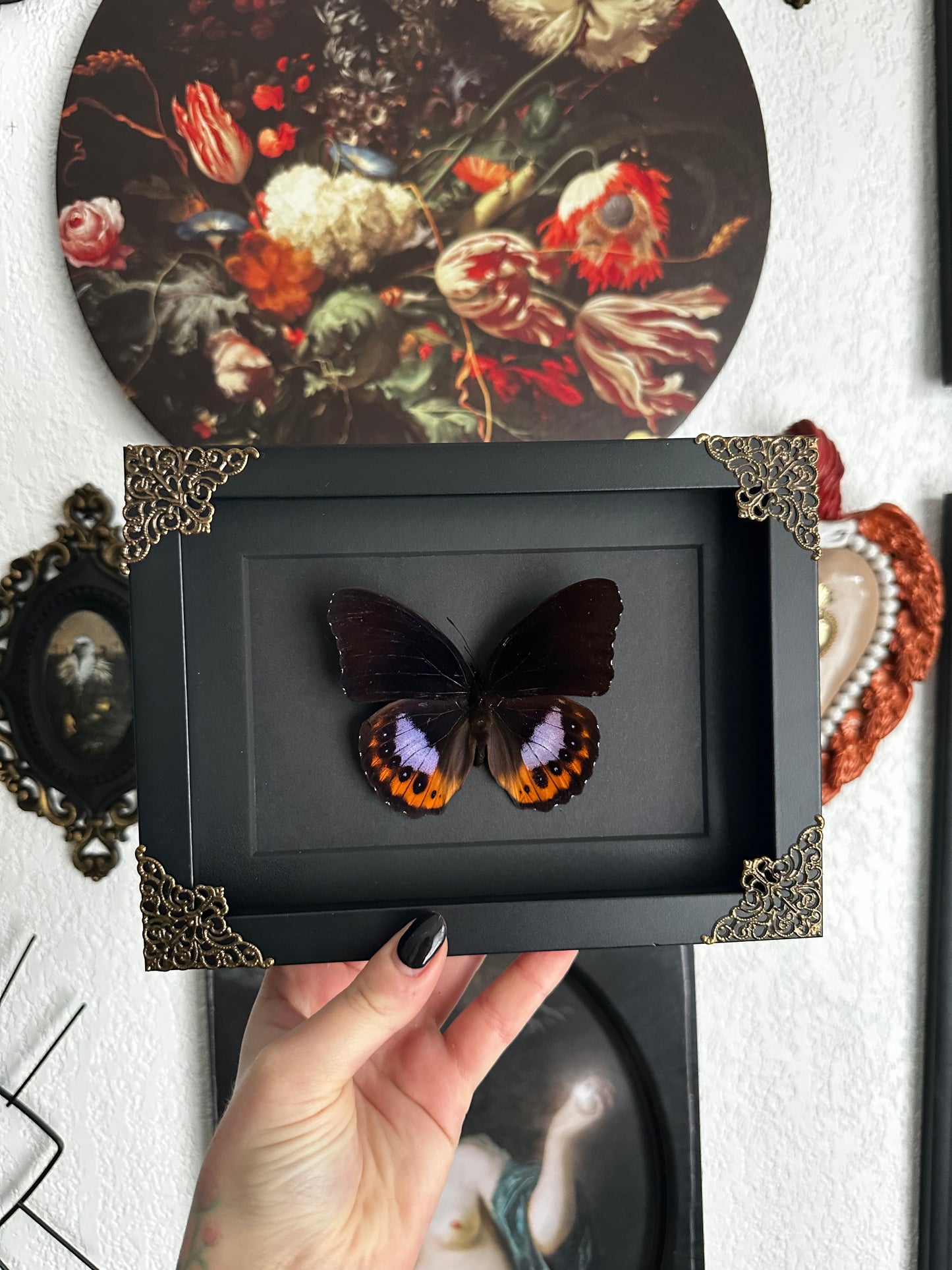 Papillon orange et violet Hypolimnas