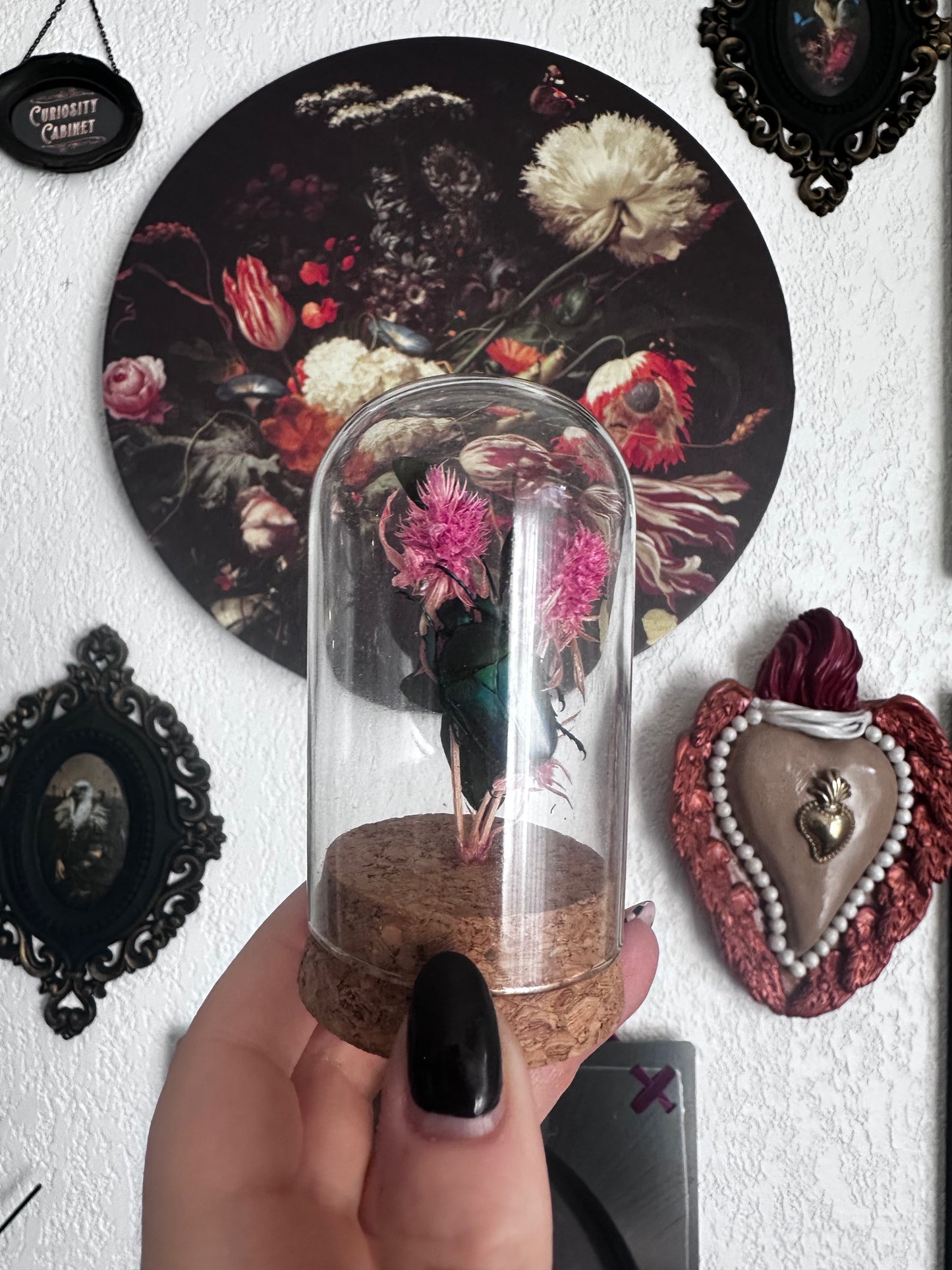 Curiosités : petit globe avec cétoine(s) et fleurs !