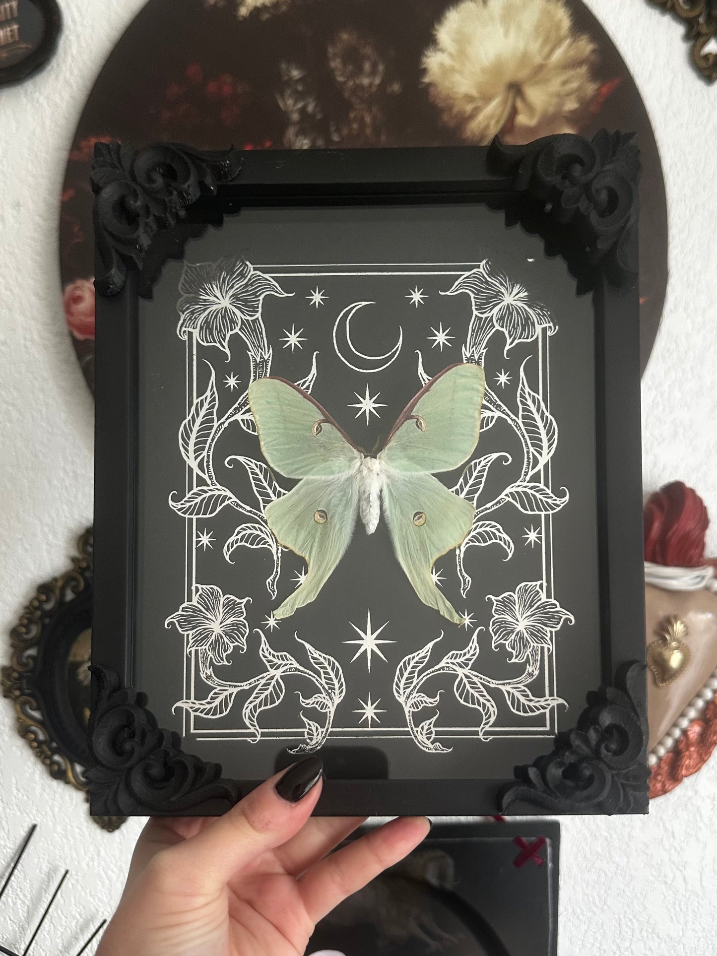 Loupallini Mystic collaboration - Actias luna moon butterfly