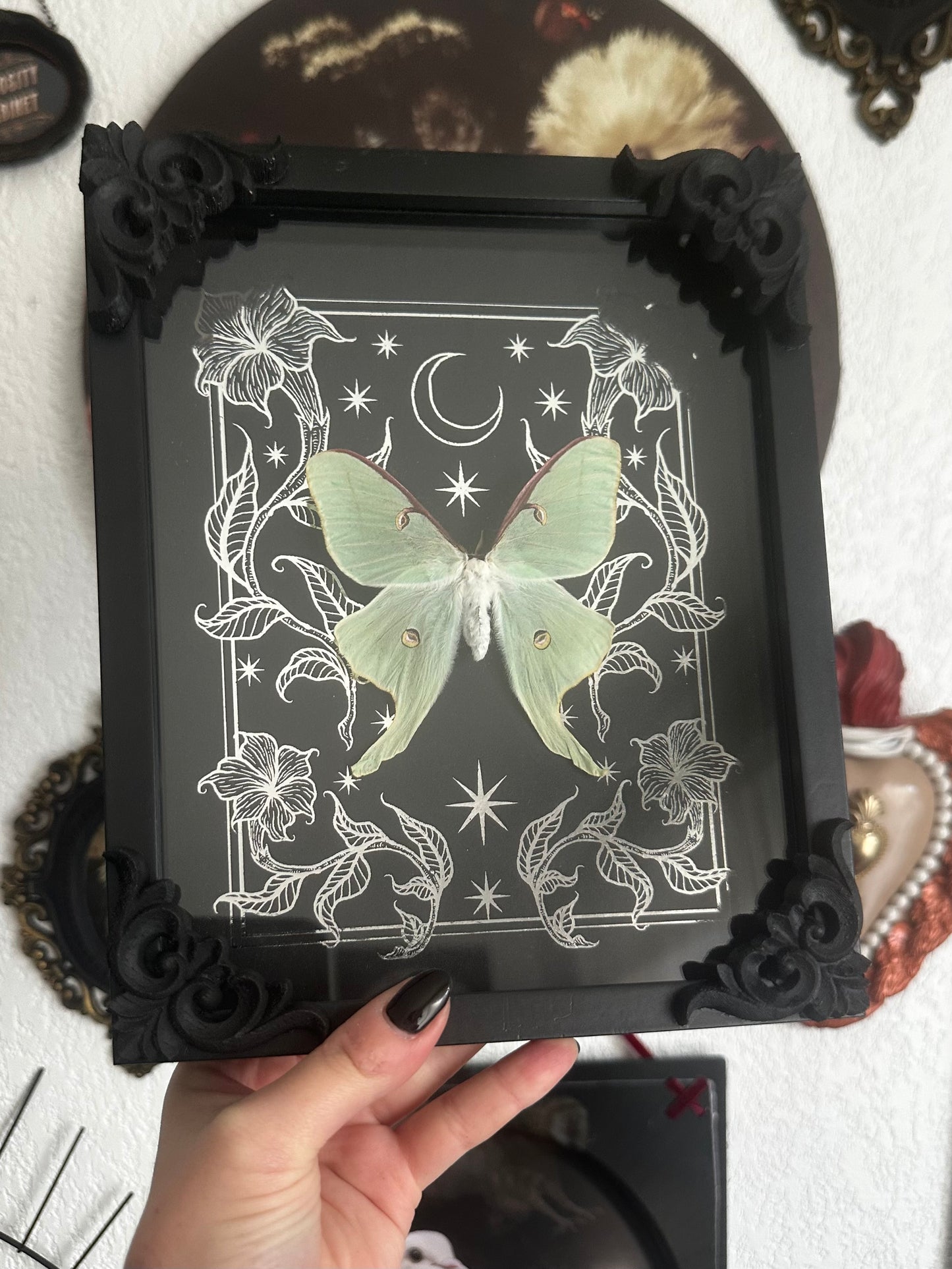 Loupallini Mystic collaboration - Actias luna moon butterfly
