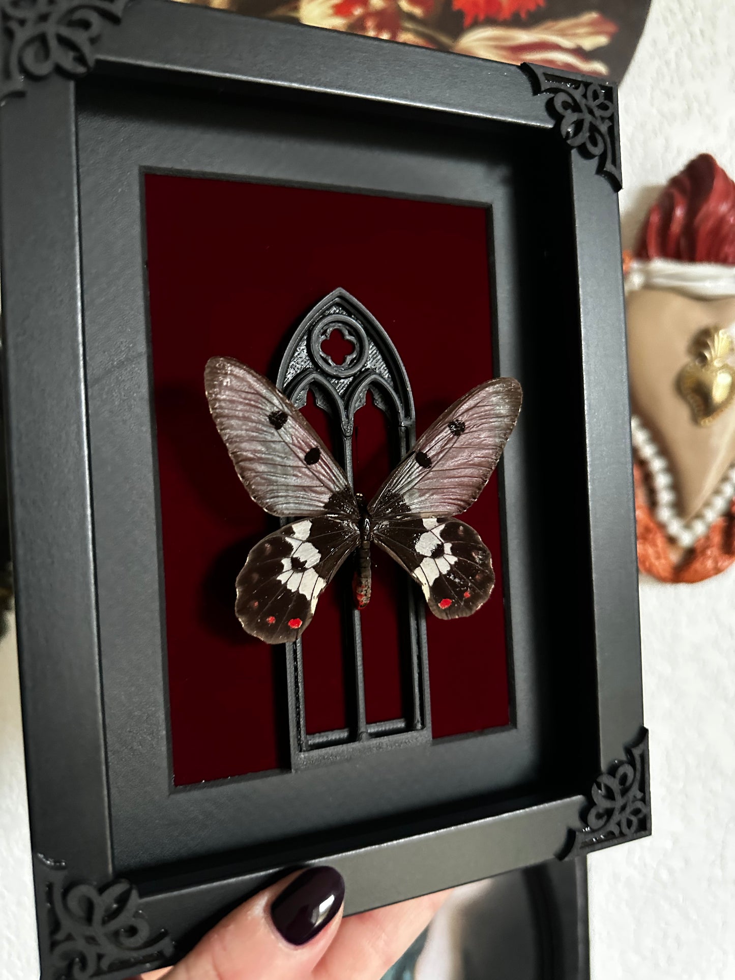 Death's-head hawkmoth (Acherontia atropos) - Gothic collection