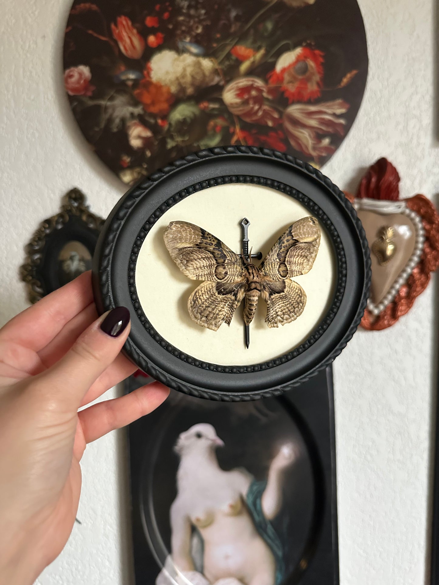 Papillon de nuit (Brahmaea hearseyi) - Gothique collection