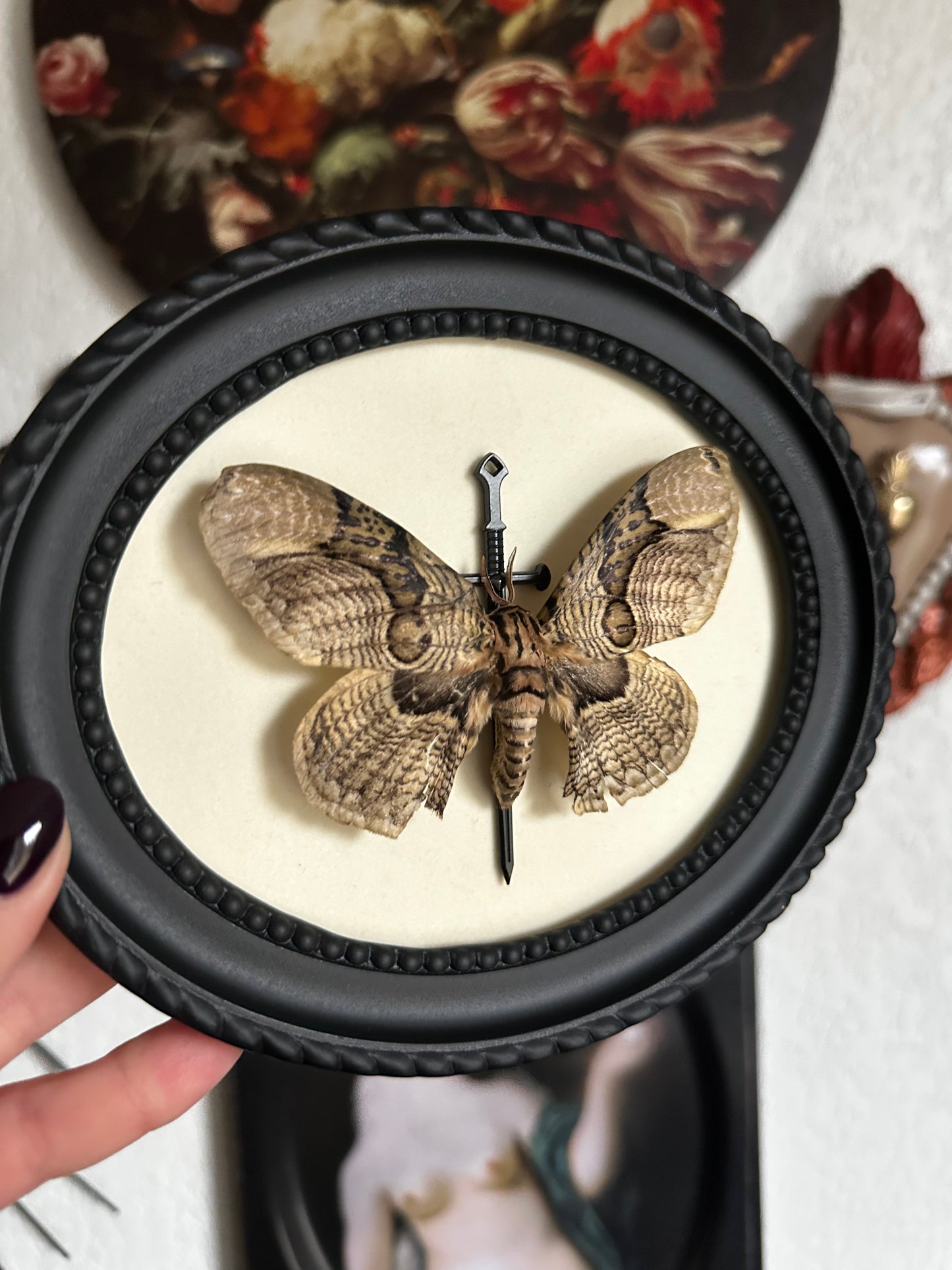 Papillon de nuit (Brahmaea hearseyi) - Gothique collection
