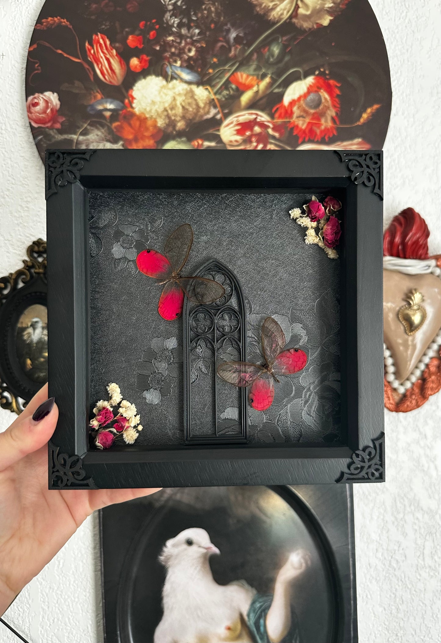 PRÉCOMMANDE Duo de papillons "blushing phantom" (Cithaerias aurorina) - Gothique collection