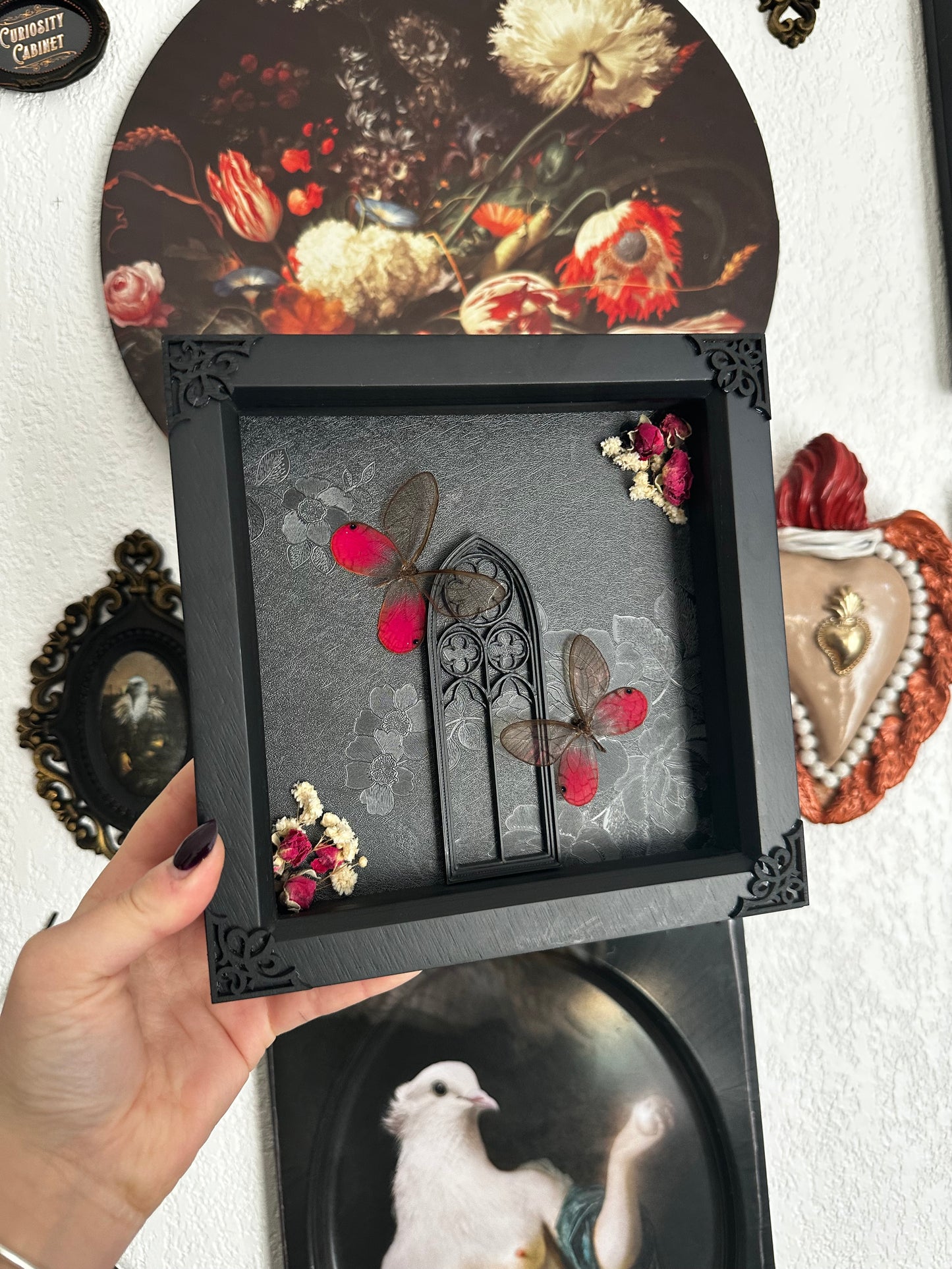 PRÉCOMMANDE Duo de papillons "blushing phantom" (Cithaerias aurorina) - Gothique collection