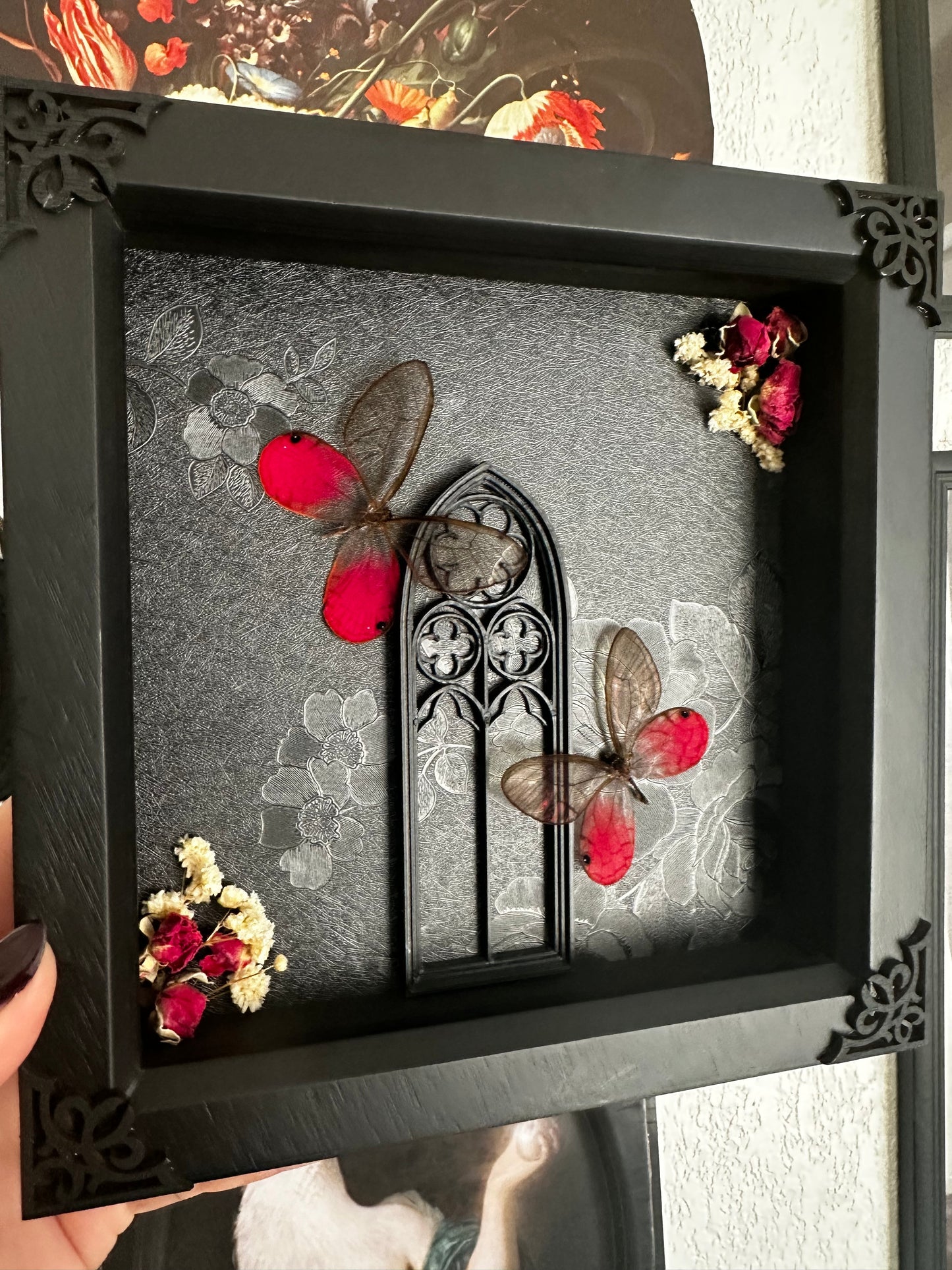 PRÉCOMMANDE Duo de papillons "blushing phantom" (Cithaerias aurorina) - Gothique collection
