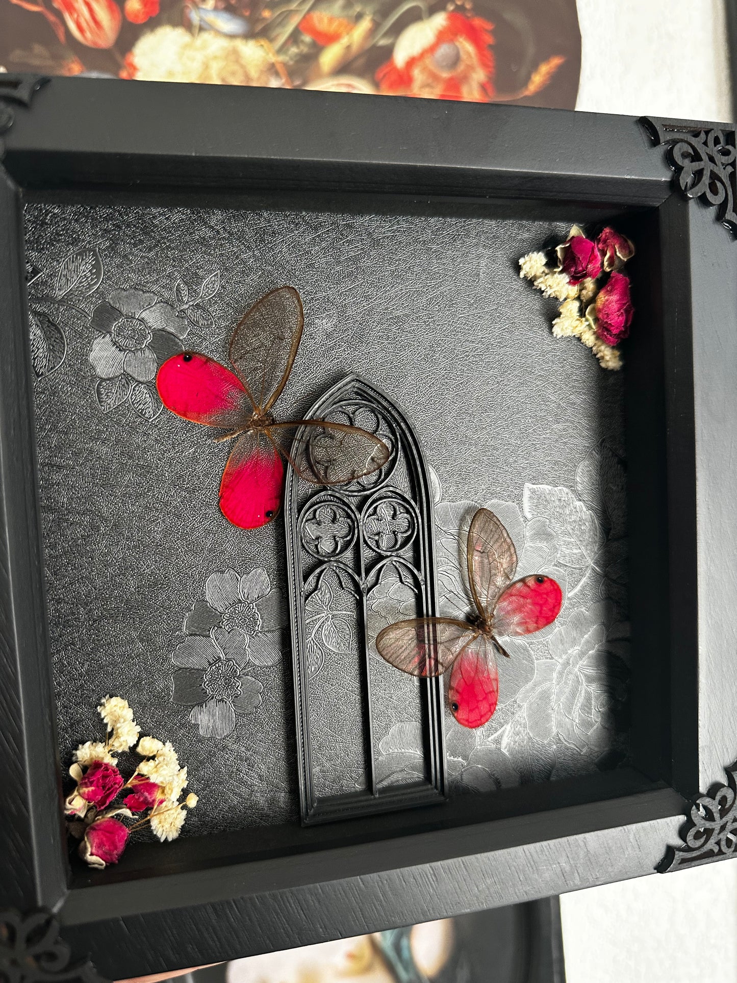 PRÉCOMMANDE Duo de papillons "blushing phantom" (Cithaerias aurorina) - Gothique collection