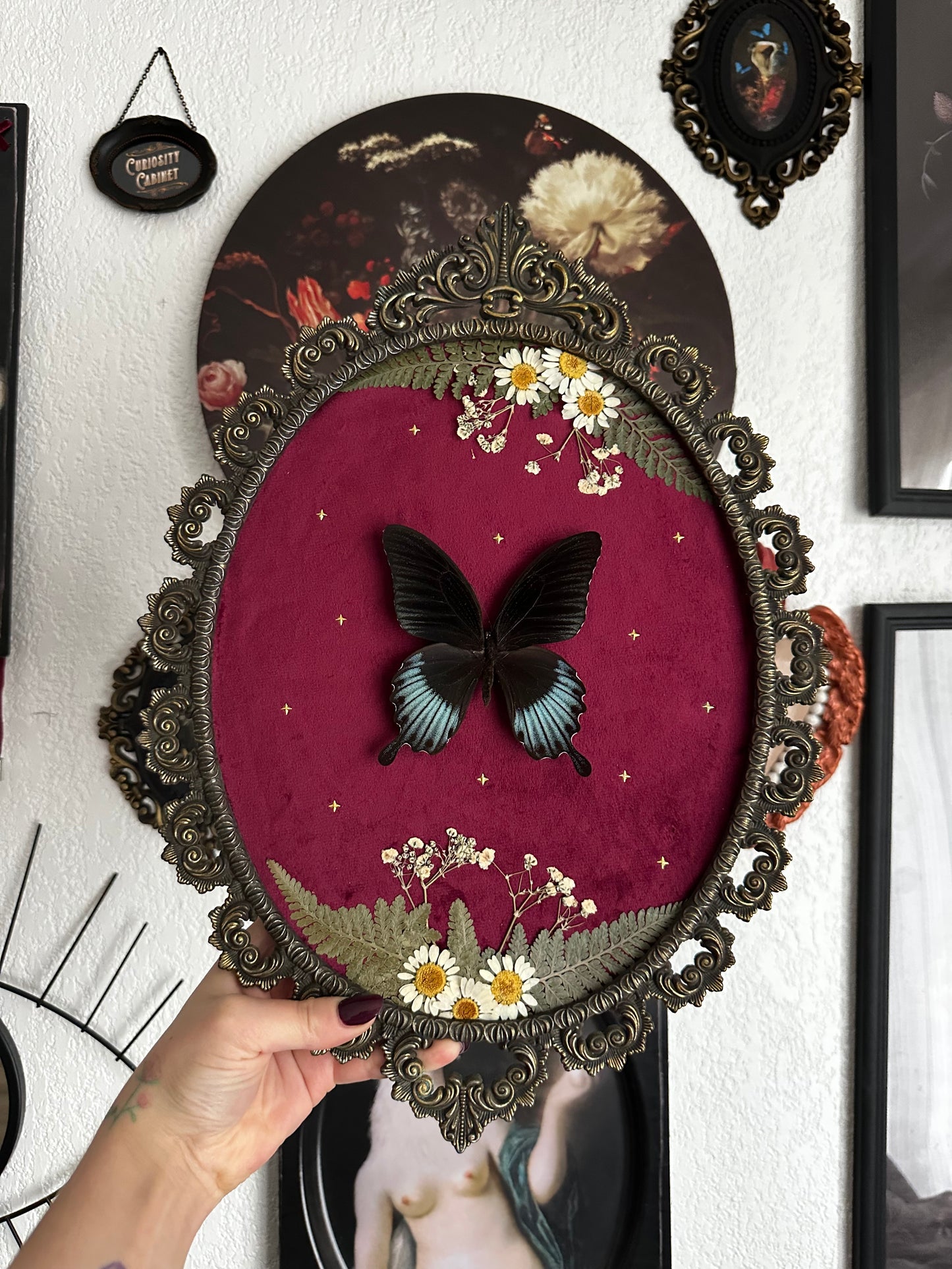 Belle composition florale avec papillon Lowii
