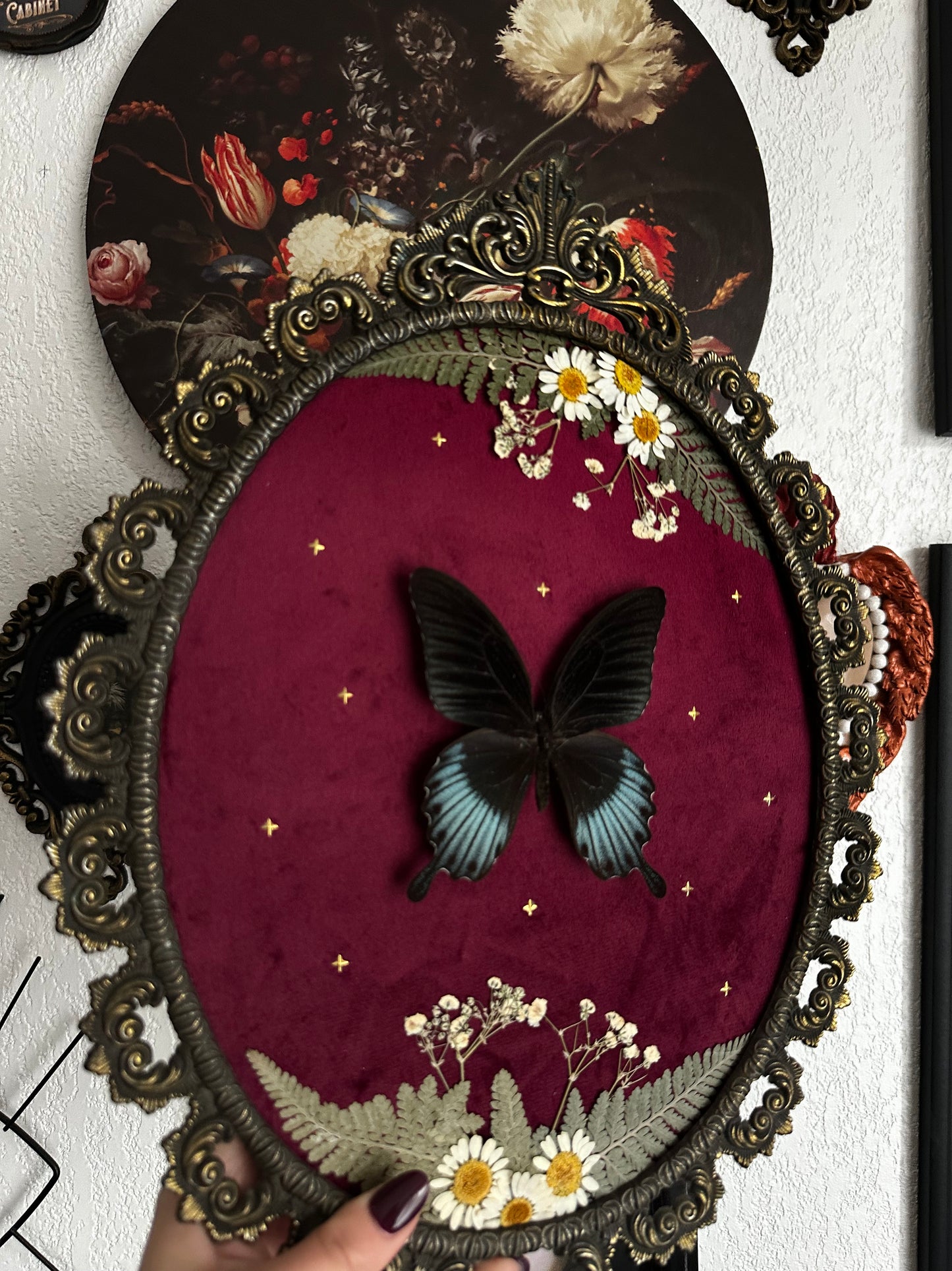 Belle composition florale avec papillon Lowii