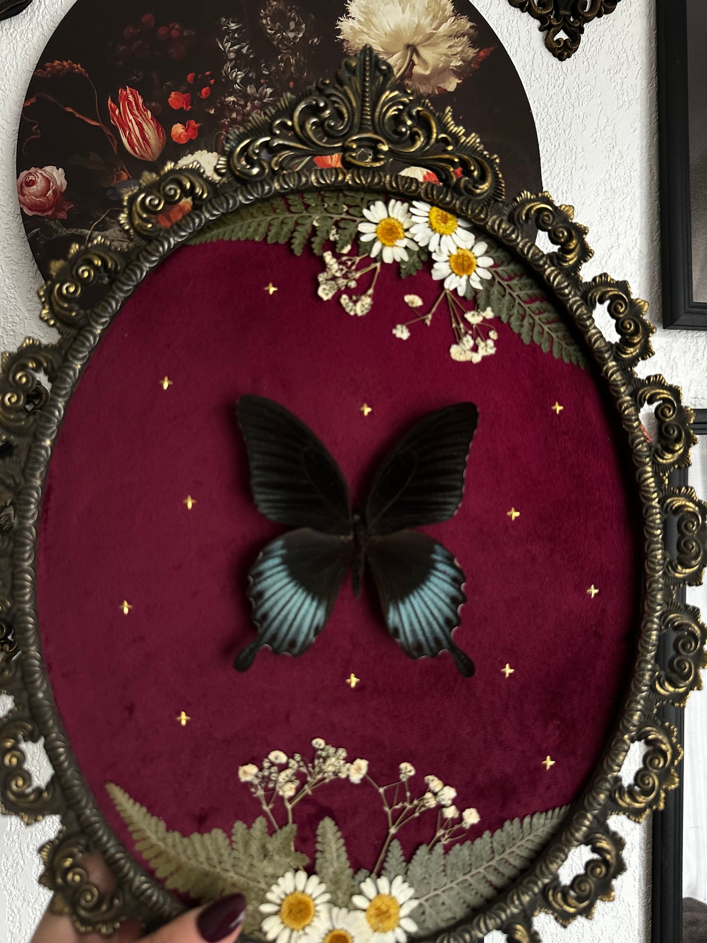 Belle composition florale avec papillon Lowii