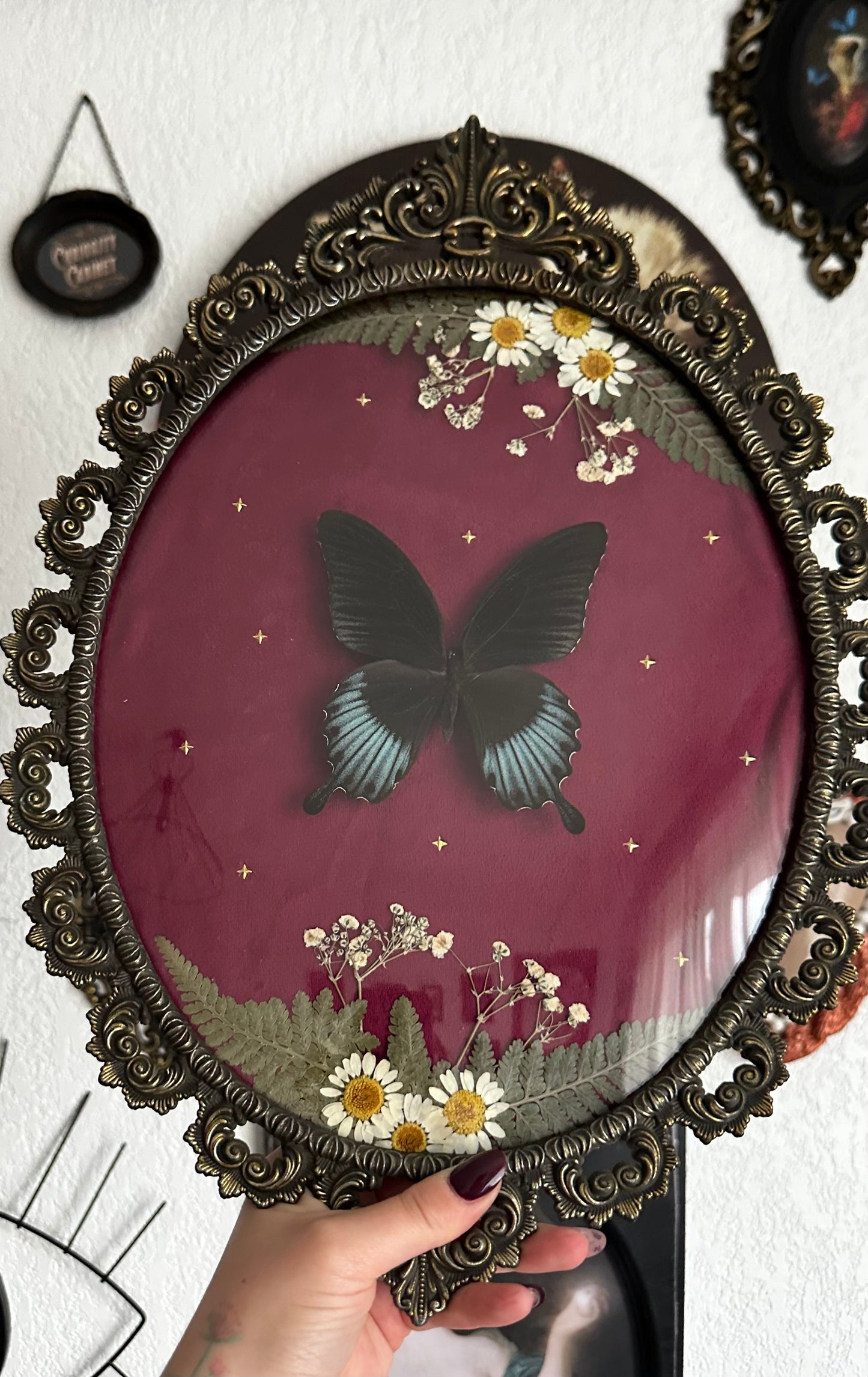 Belle composition florale avec papillon Lowii
