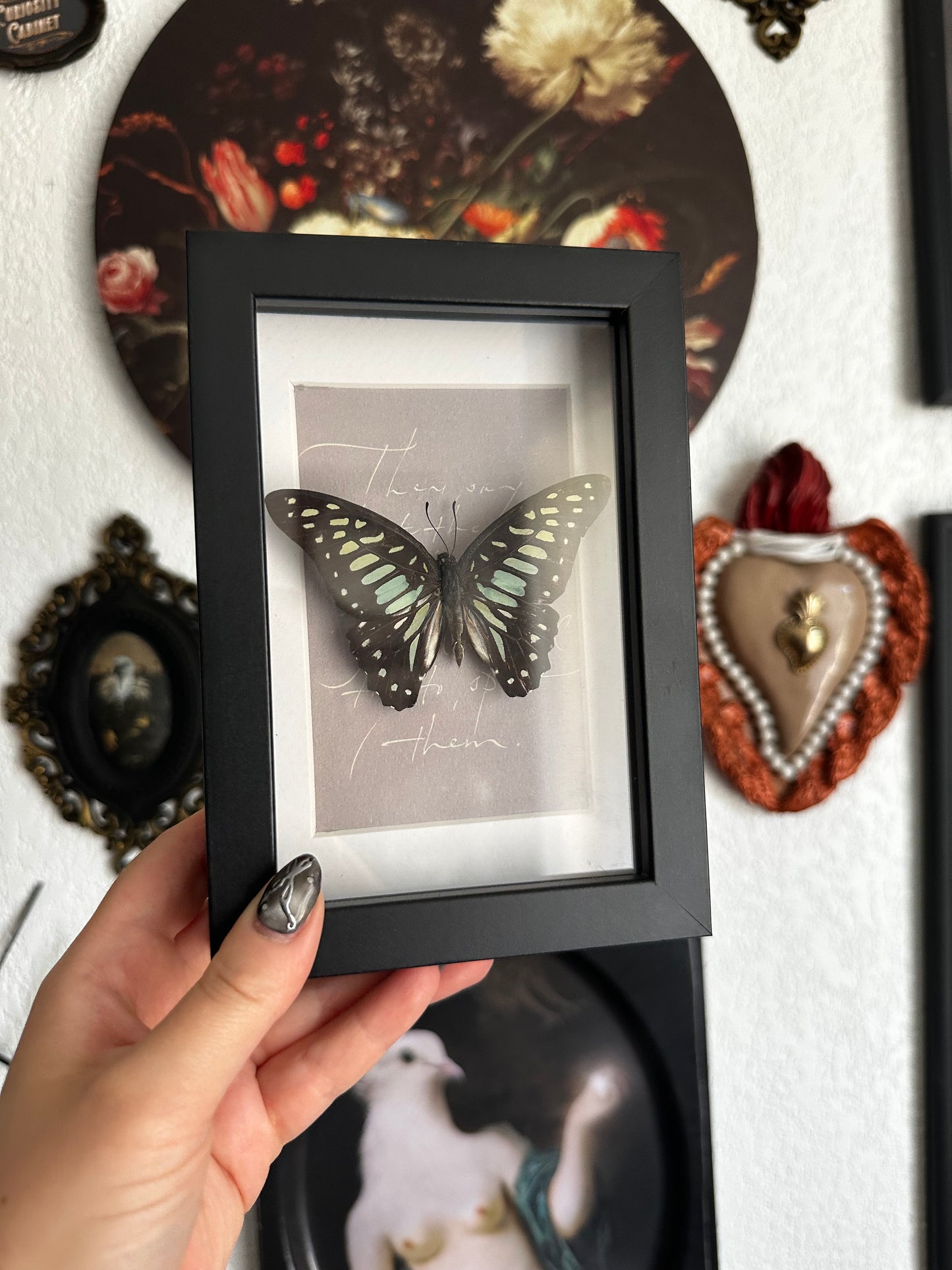 Petit prix : Graphium sarpedon