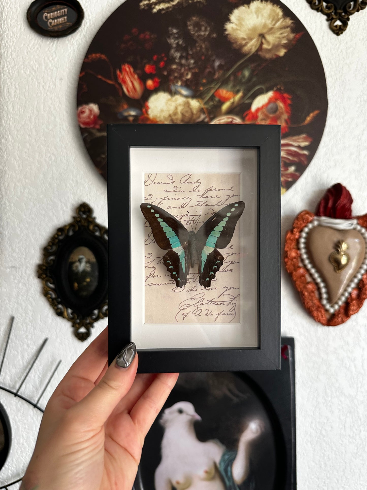 Petit prix : Graphium anthedon
