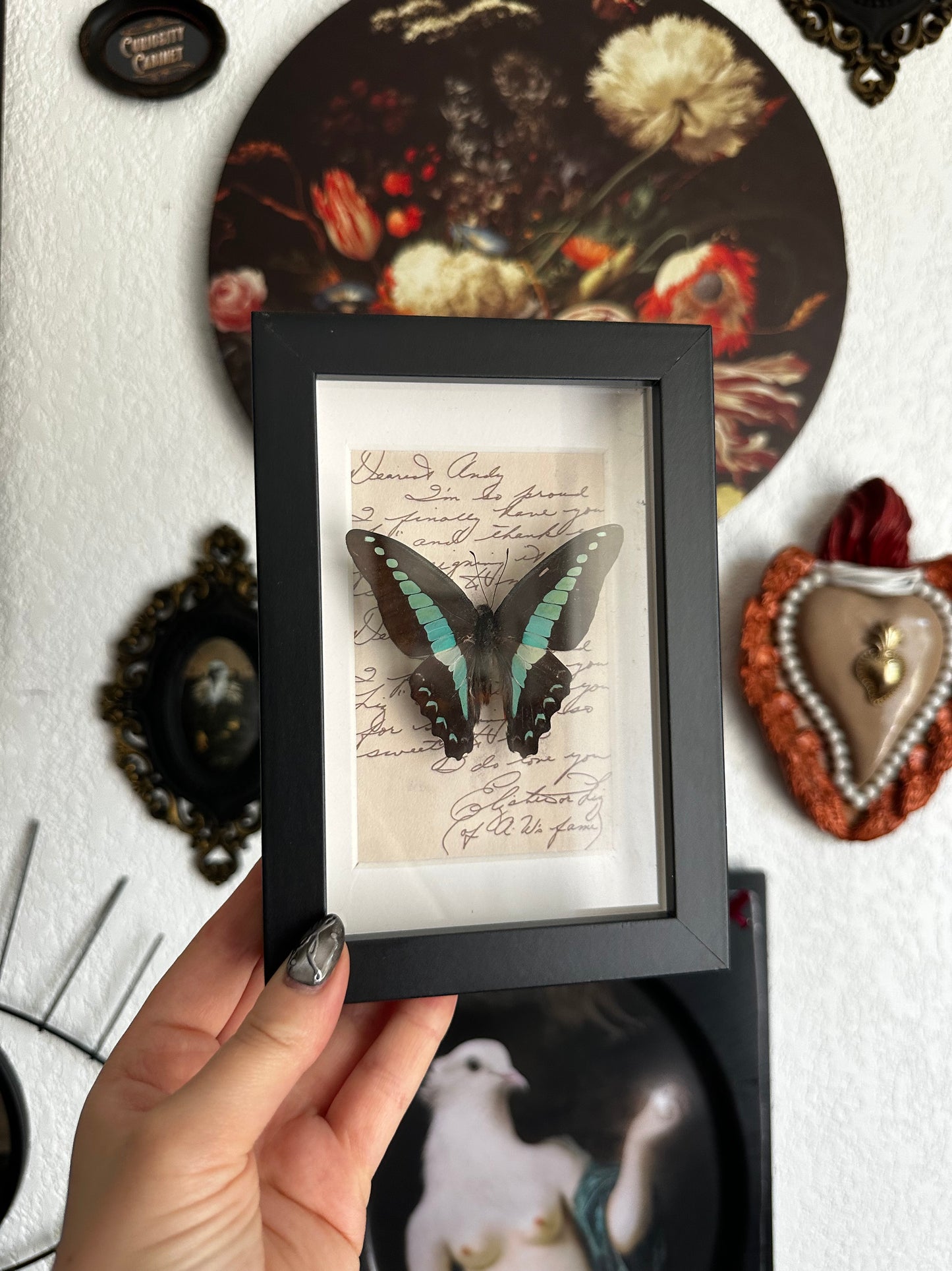 Petit prix : Graphium anthedon