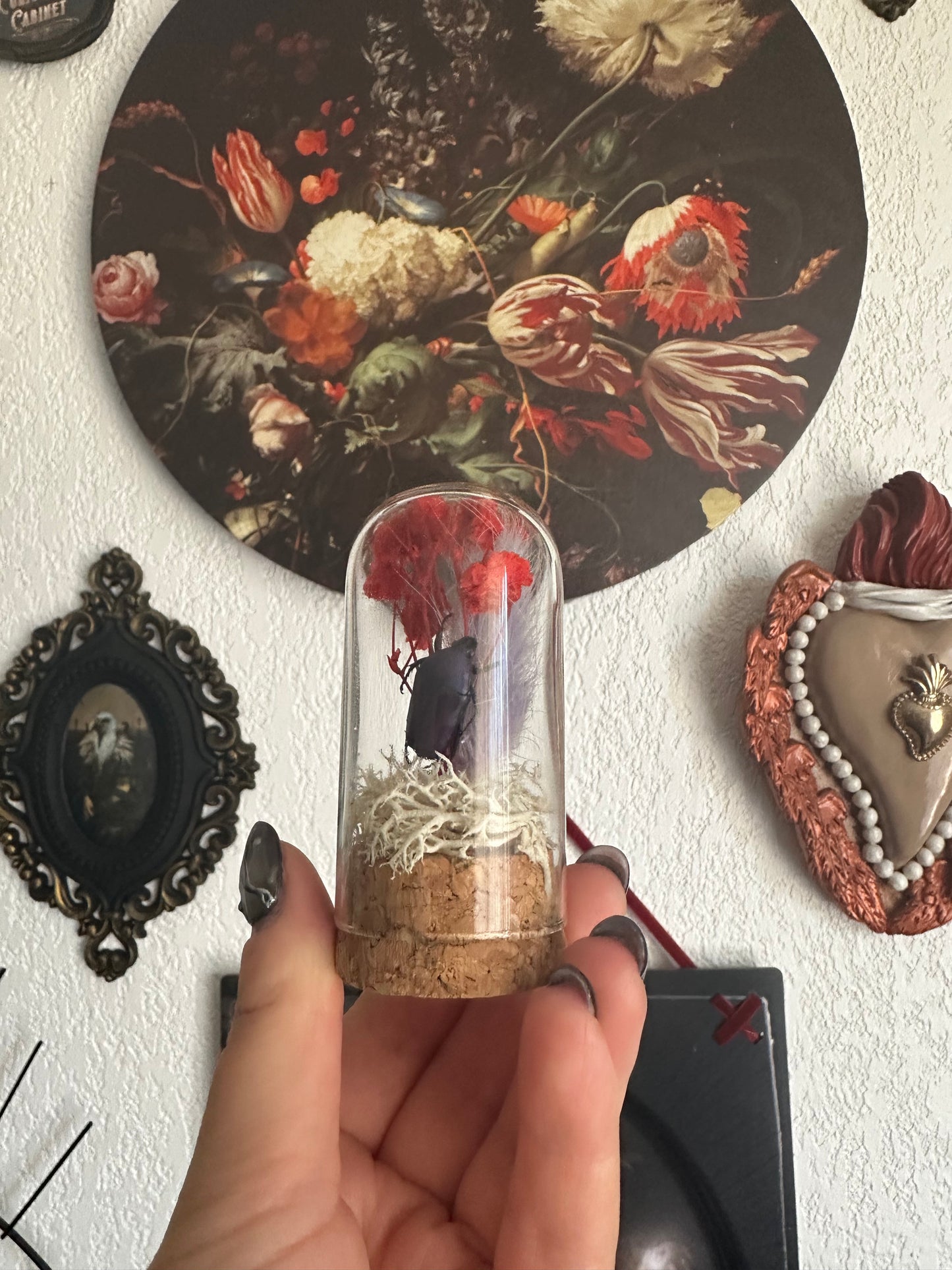Petites curiosités : mini globe avec cétoine(s) et fleurs !
