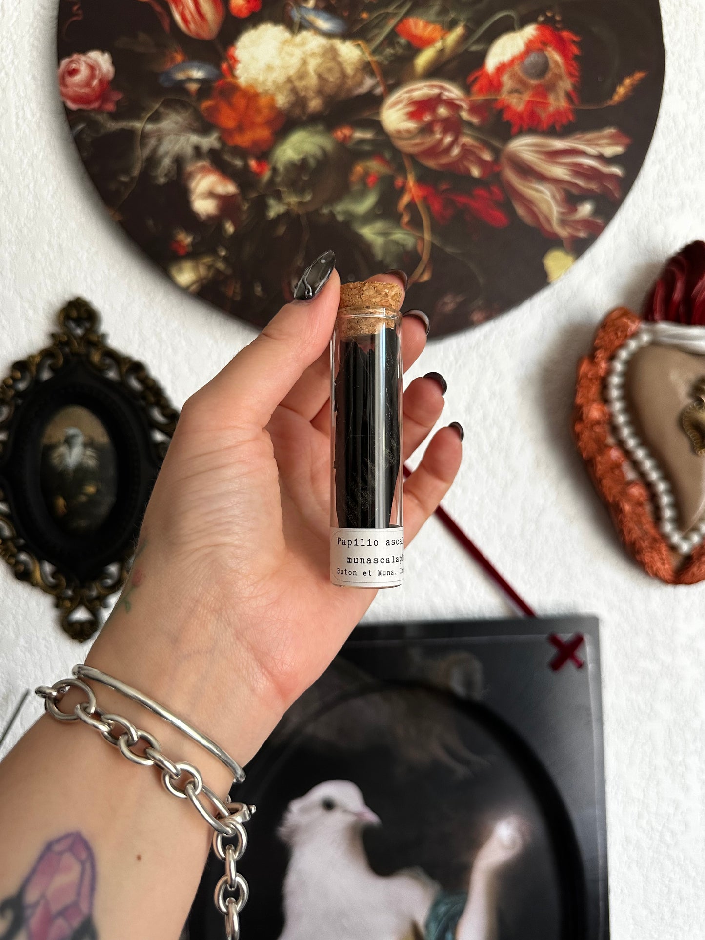 Petites curiosités : mini fioles avec ailes de papillons