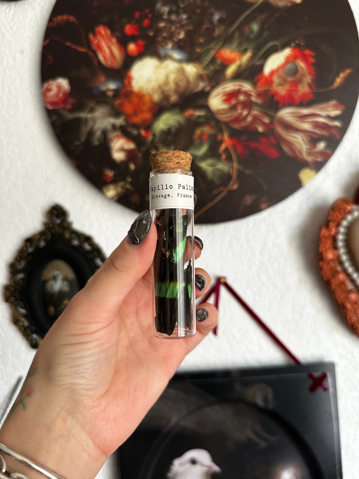 Petites curiosités : mini fioles avec ailes de papillons