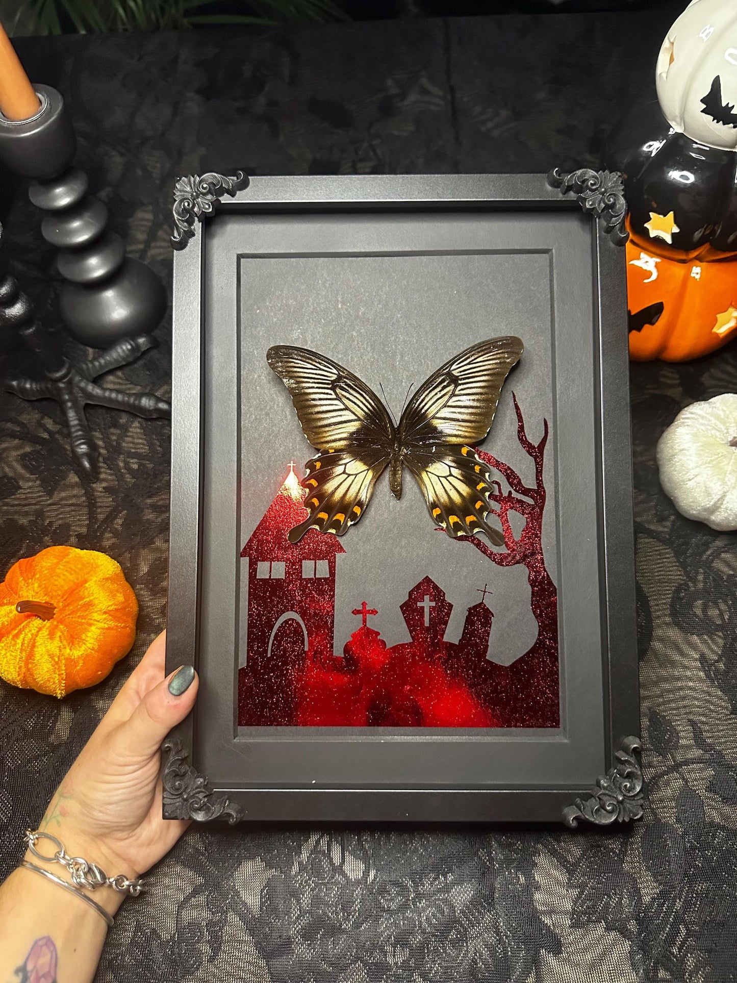 HALLOWEEN COLLECTION veritable Papilio Ascalapus naturalisé dans un cimetière hanté rouge // entomologie, cabinet de curiosités, dark decor