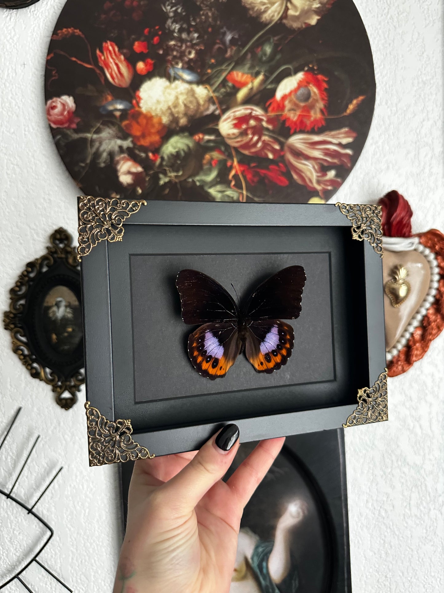 Papillon orange et violet Hypolimnas