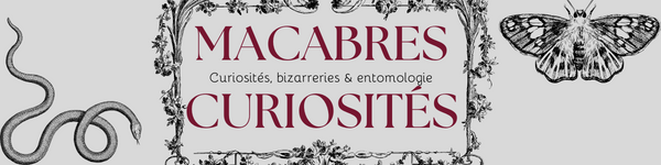 Macabres Curiosites