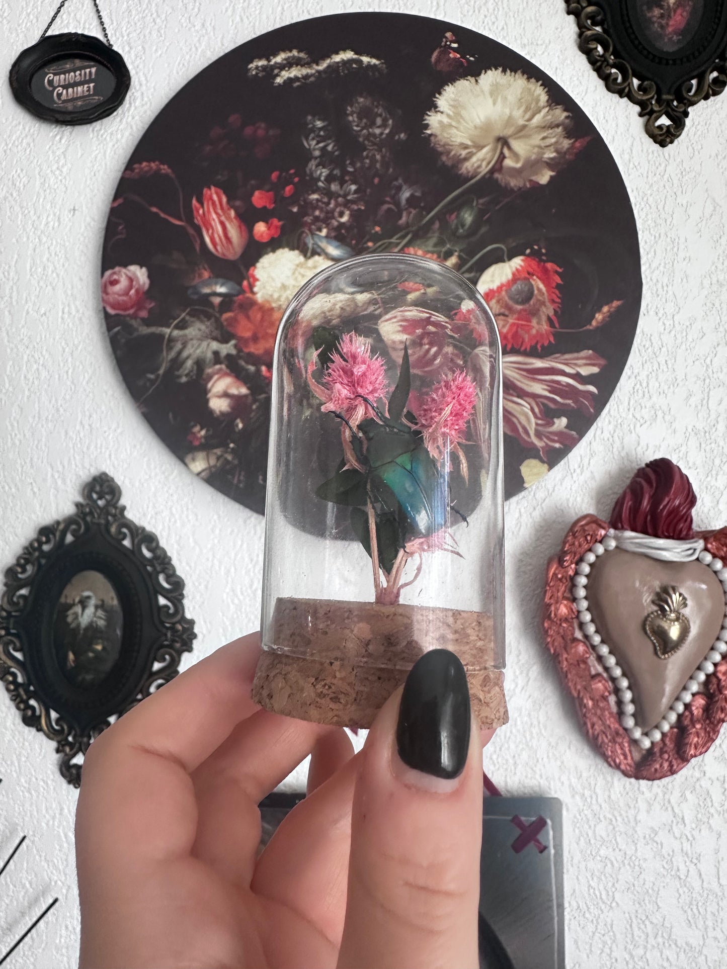 Curiosités : petit globe avec cétoine(s) et fleurs !