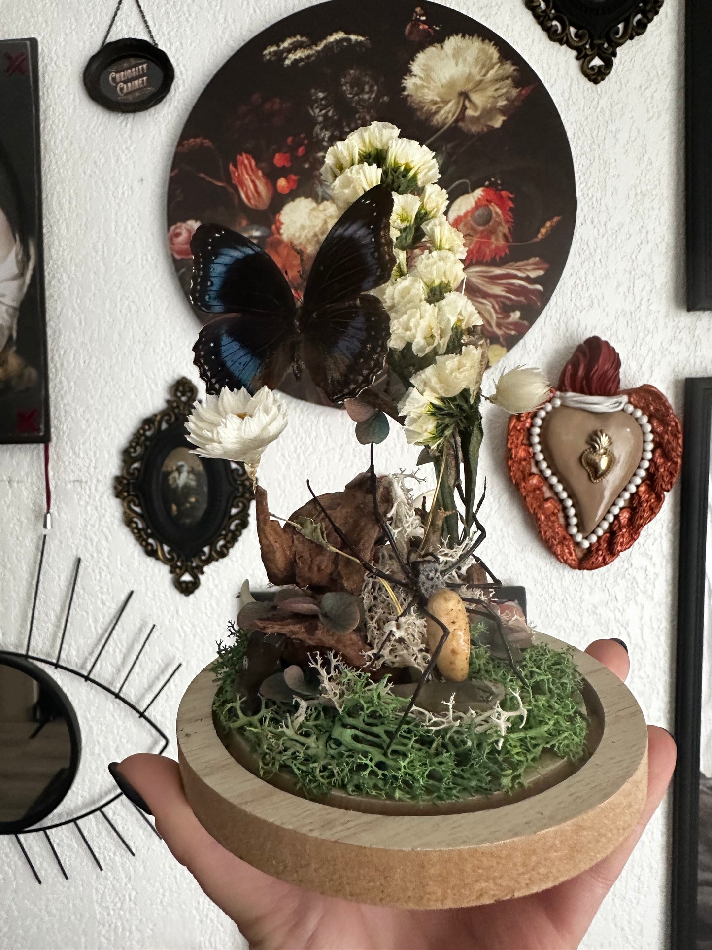 Cloche avec néphile, papillon et os