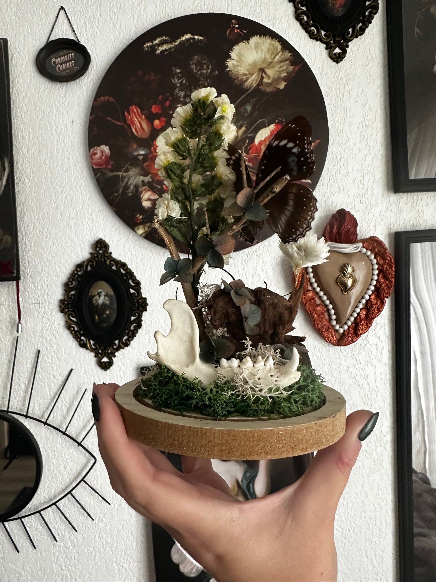 Cloche avec néphile, papillon et os