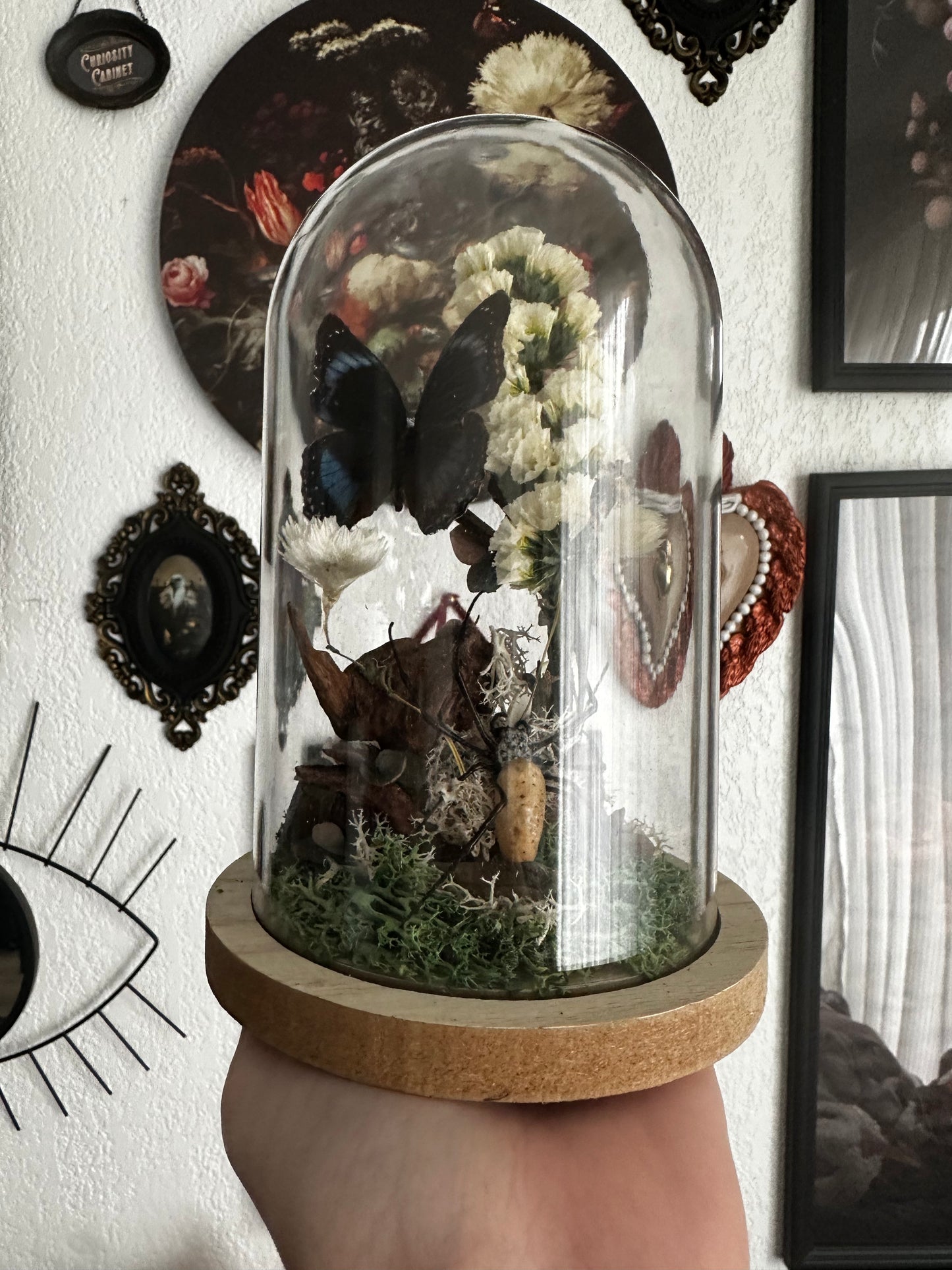 Cloche avec néphile, papillon et os