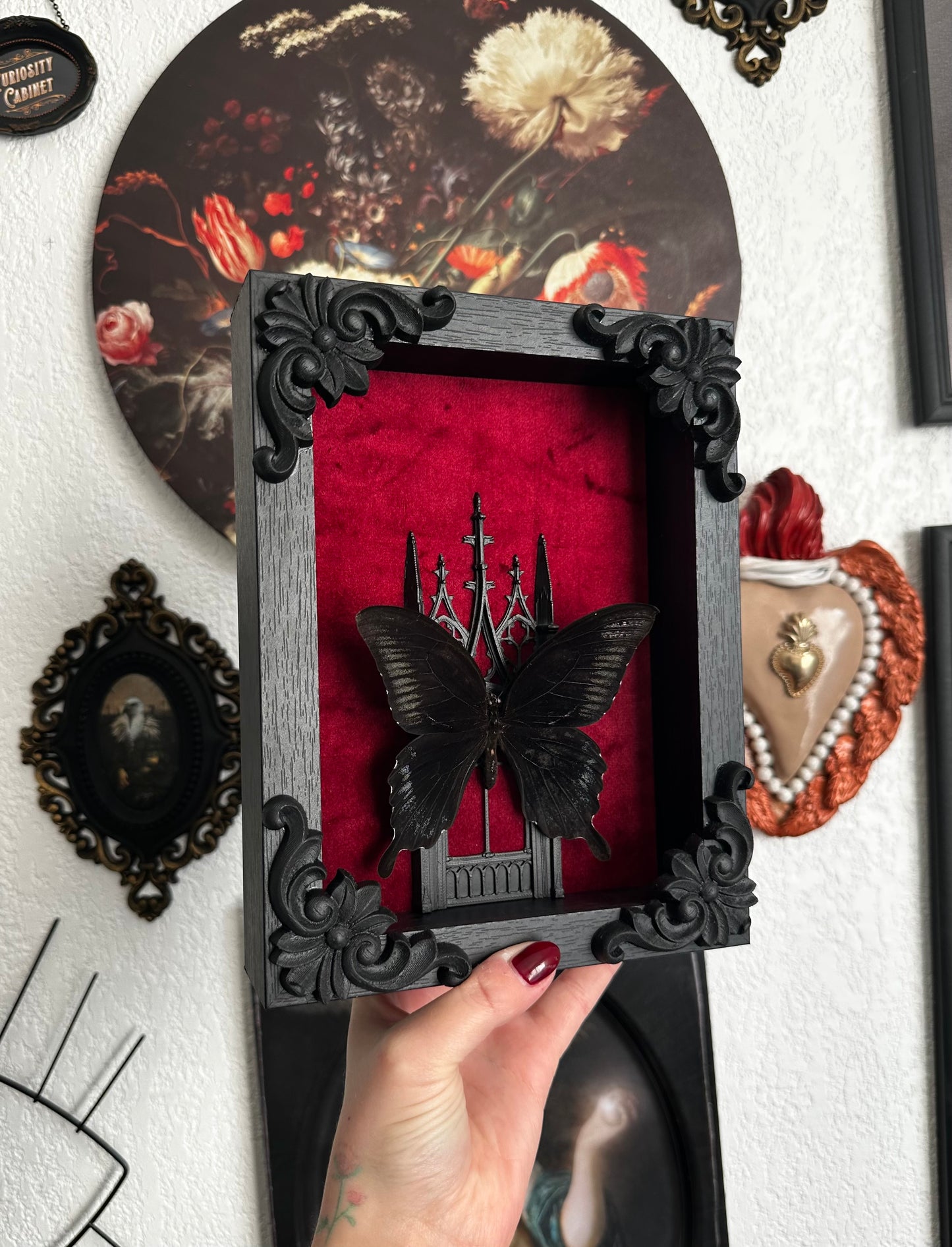 Papillon "Goth" (Papilio ascalaphus fukuyamai) - Gothique collection