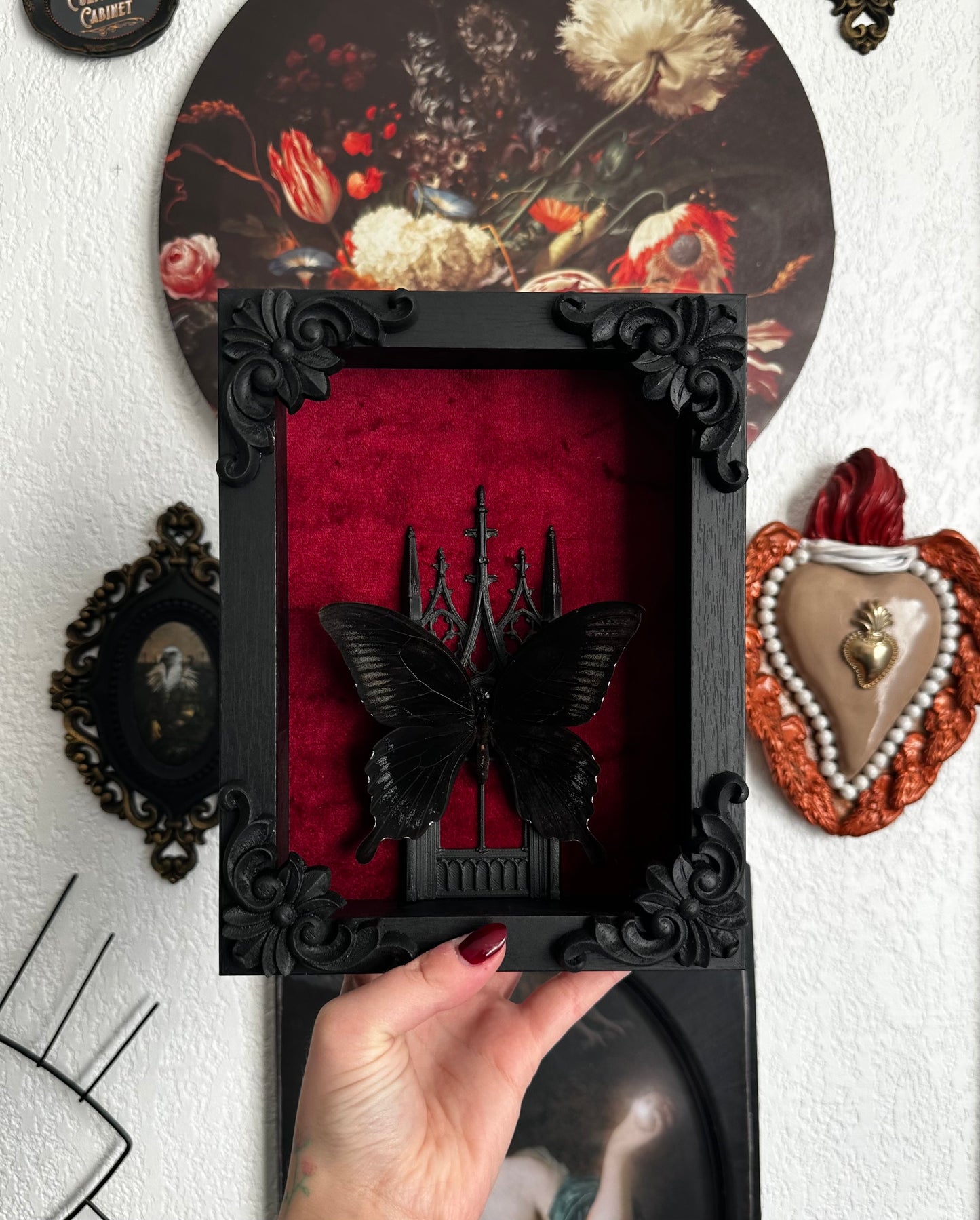 Papillon "Goth" (Papilio ascalaphus fukuyamai) - Gothique collection