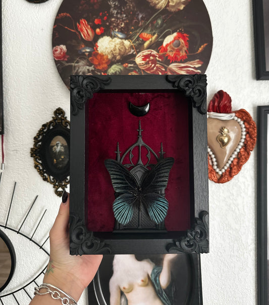Papillon "Goth" (Papilio memnon anceus) - Gothique collection