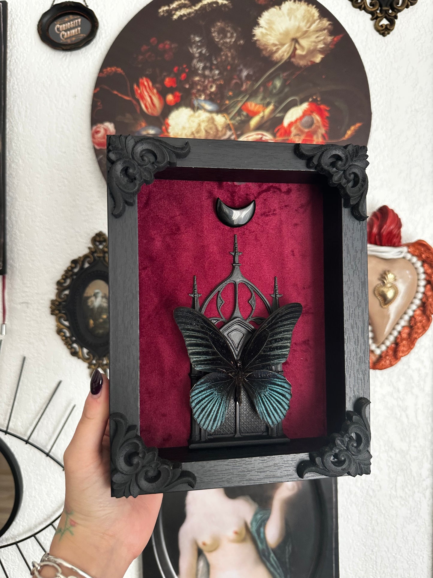 Papillon "Goth" (Papilio memnon anceus) - Gothique collection