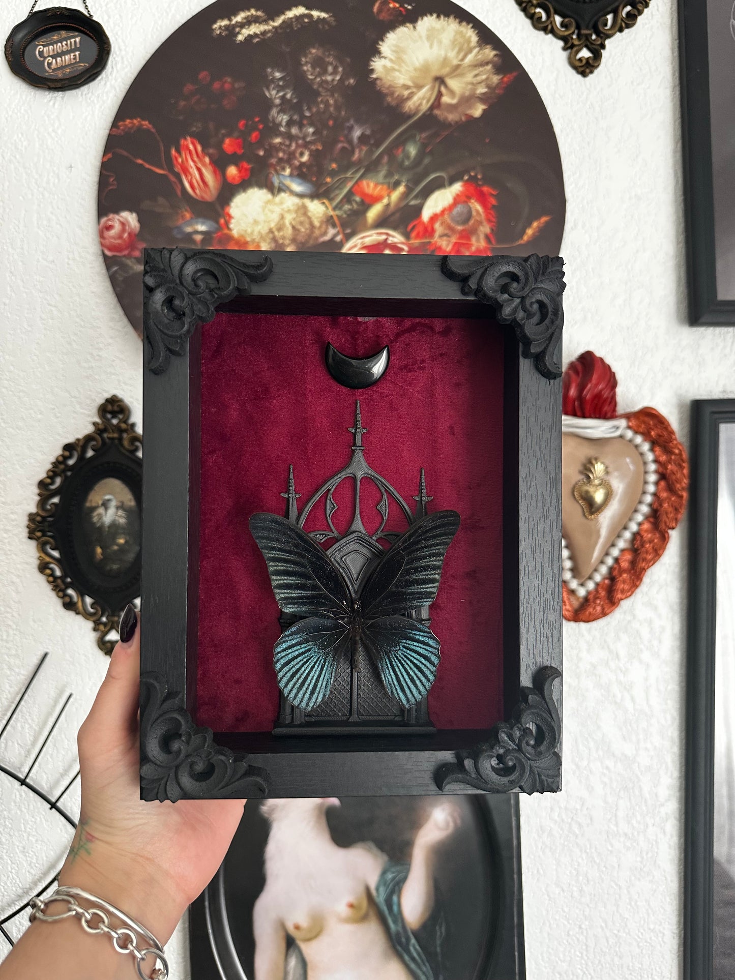 Papillon "Goth" (Papilio memnon anceus) - Gothique collection