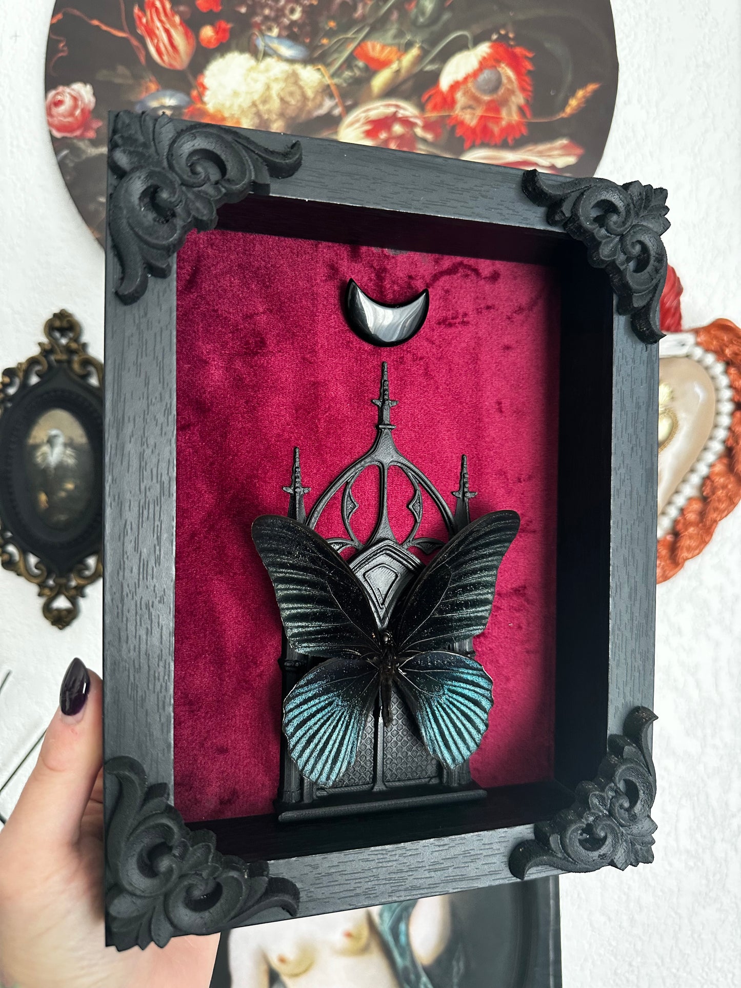 Papillon "Goth" (Papilio memnon anceus) - Gothique collection
