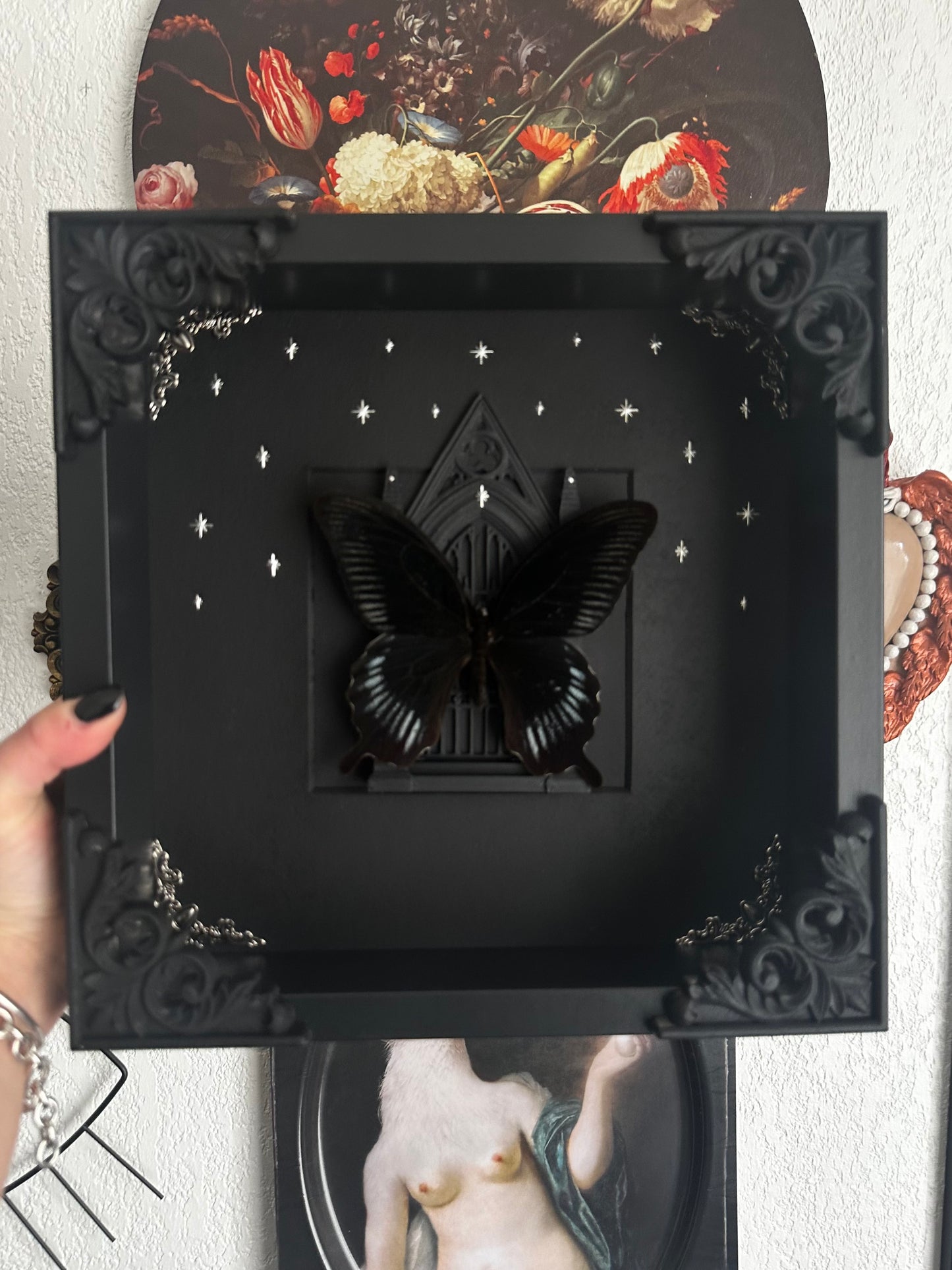 Papillon "Goth" (Papilio deiphobus deiphobius) - Gothique collection