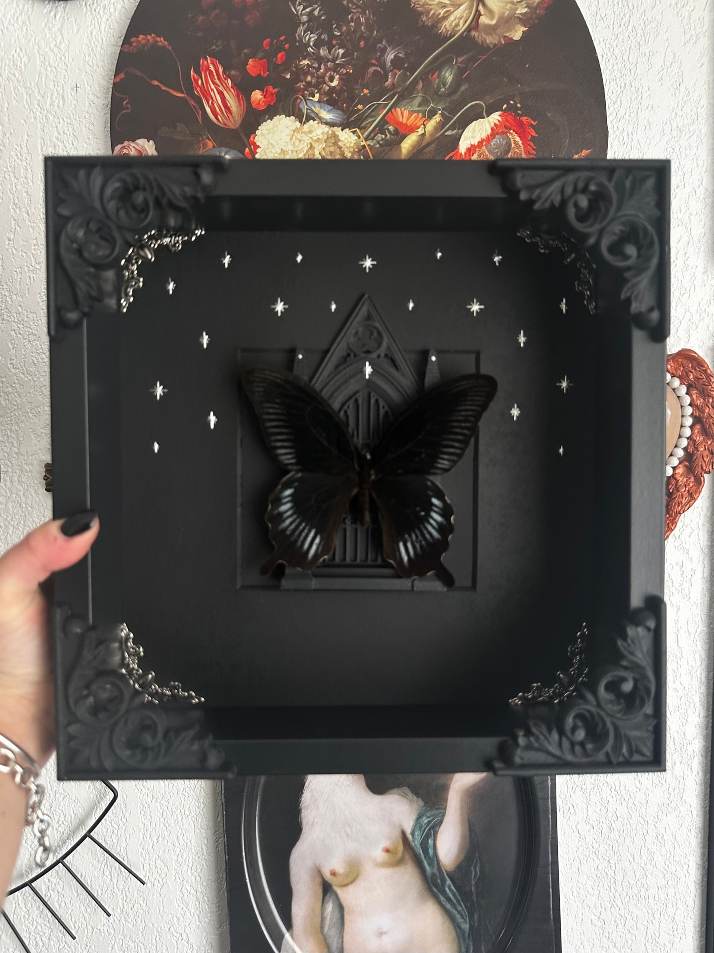 Papillon "Goth" (Papilio deiphobus deiphobius) - Gothique collection
