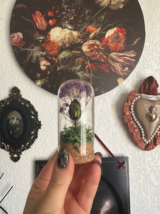 Petites curiosités : mini globe avec cétoine(s) et fleurs !