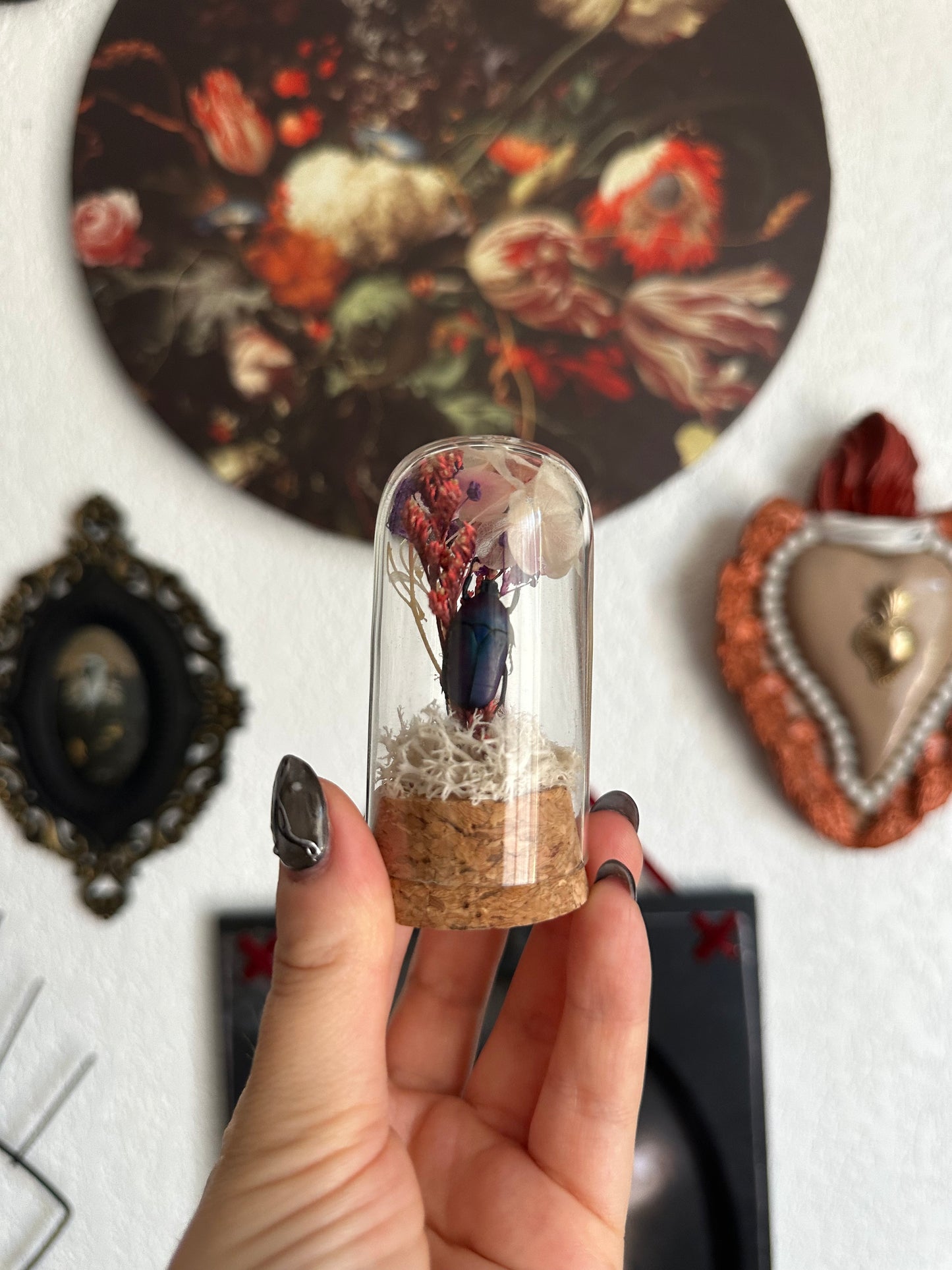 Petites curiosités : mini globe avec cétoine(s) et fleurs !