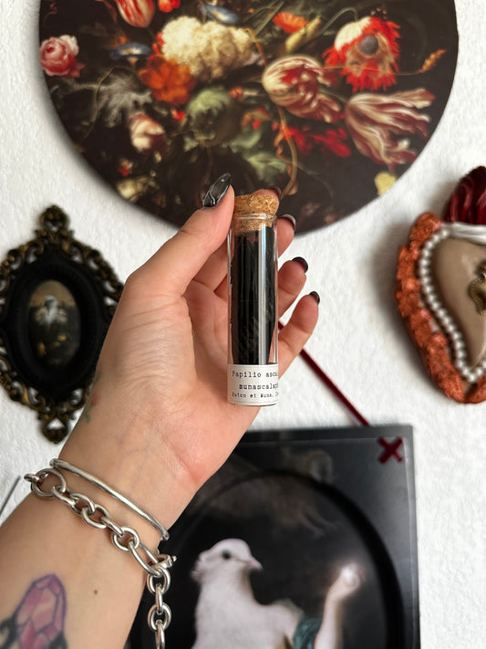 Petites curiosités : mini fioles avec ailes de papillons