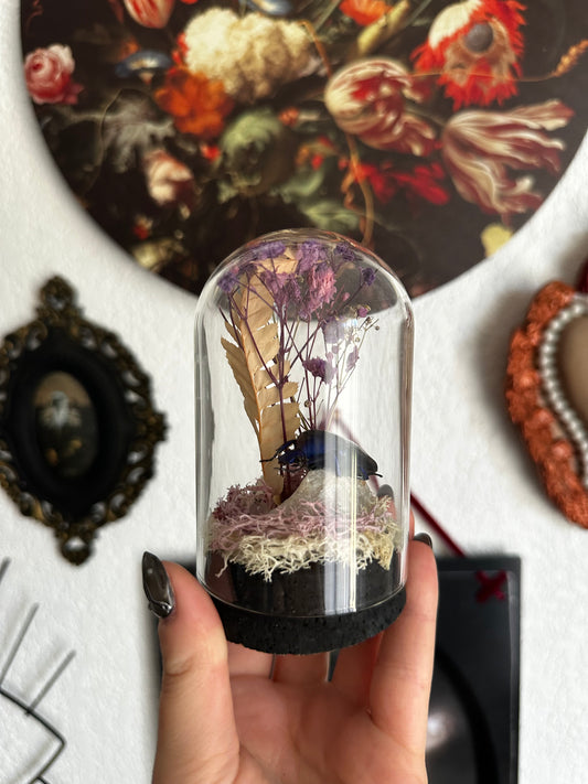 Globe avec une cétoine, fleurs et cristaux