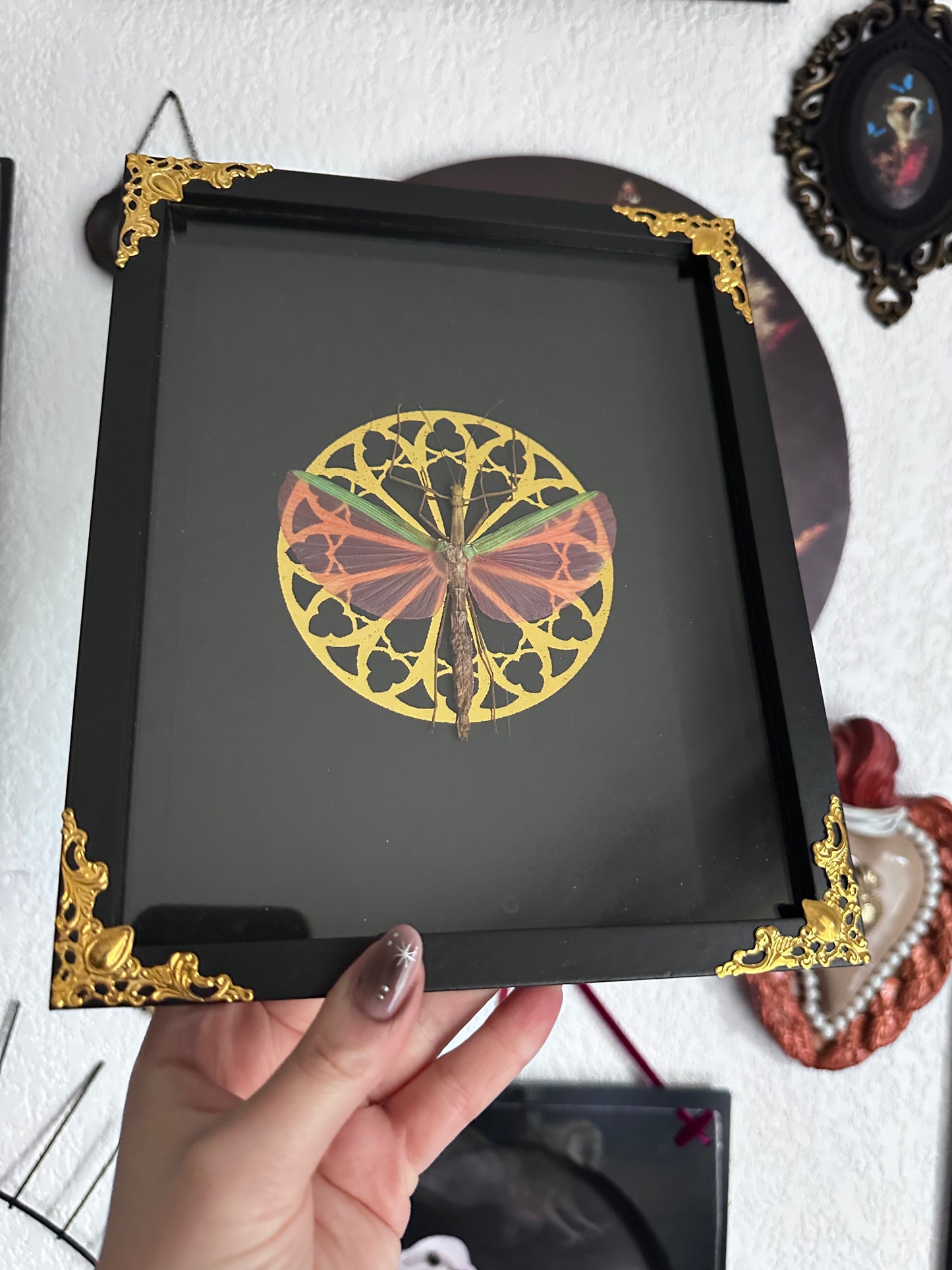 Loupallini Mystic collaboration - Actias luna moon butterfly